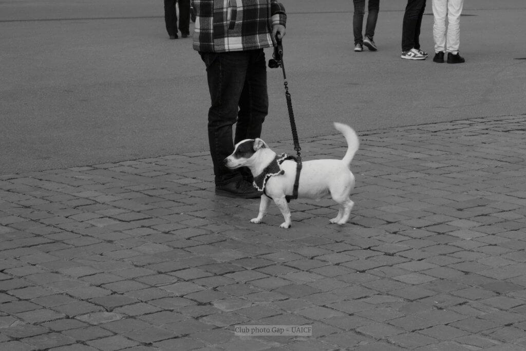 Franck - photo de rue