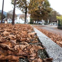 Expo_Gap_2025_Hélène-Automne_en_ville